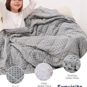 Kivik Weighted Blanket 3lbs, Small Minky Dotted Blankets, Soft Heavy Blanket Throw, Machine Washable, 36 x 48 Inches Grey