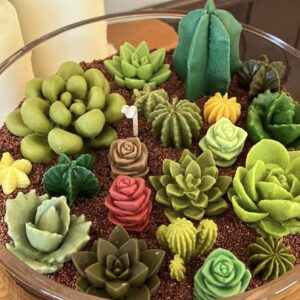 Navani 9 Pack Succulent Silicone Mold,Flower Resin Mold,Silicone Candle Molds.3D Cacti Candle Mold Silicone for Scented Candles Soaps Making, Wax, Resin Casting,Soap Cake Dessert Mousse Mold (A)