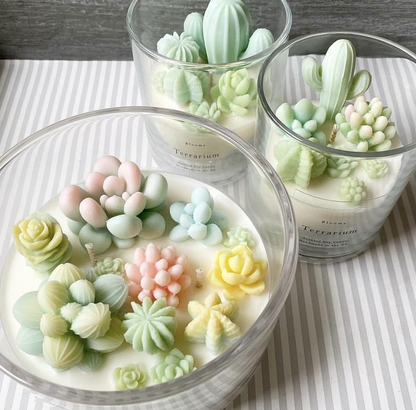 Navani 9 Pack Succulent Silicone Mold,Flower Resin Mold,Silicone Candle Molds.3D Cacti Candle Mold Silicone for Scented Candles Soaps Making, Wax, Resin Casting,Soap Cake Dessert Mousse Mold (A)