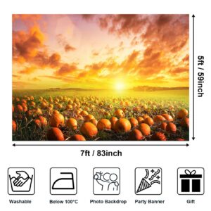 Avezano Fall Pumpkin Patch Backdrop Sunlight Pumpkin Pasture Background Harvest Autumn Thanksgiving Baby Shower Bday Party Portrait Studio Photobooth Props 7x5 ft, 83x59 inch