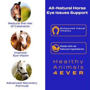 Healthy Animals 4Ever All-Natural Horse Eye Health Support - Maintains Normal Mineral Levels for Horses Eyes - Eye Supplements for Horses - Homeopathic & Highly Effective - 300 Tablets