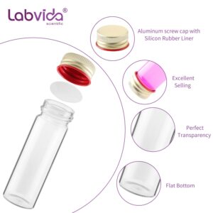 Labvida 25ml Clear Glass Vials with Plastic Stoppers, 20 Pack Glass Vials with Screw Caps, Leak-Proof Small Glass Lab Vials, Liquid Sample Vials for Essential Oil, Reagent, Seeds, LVH008