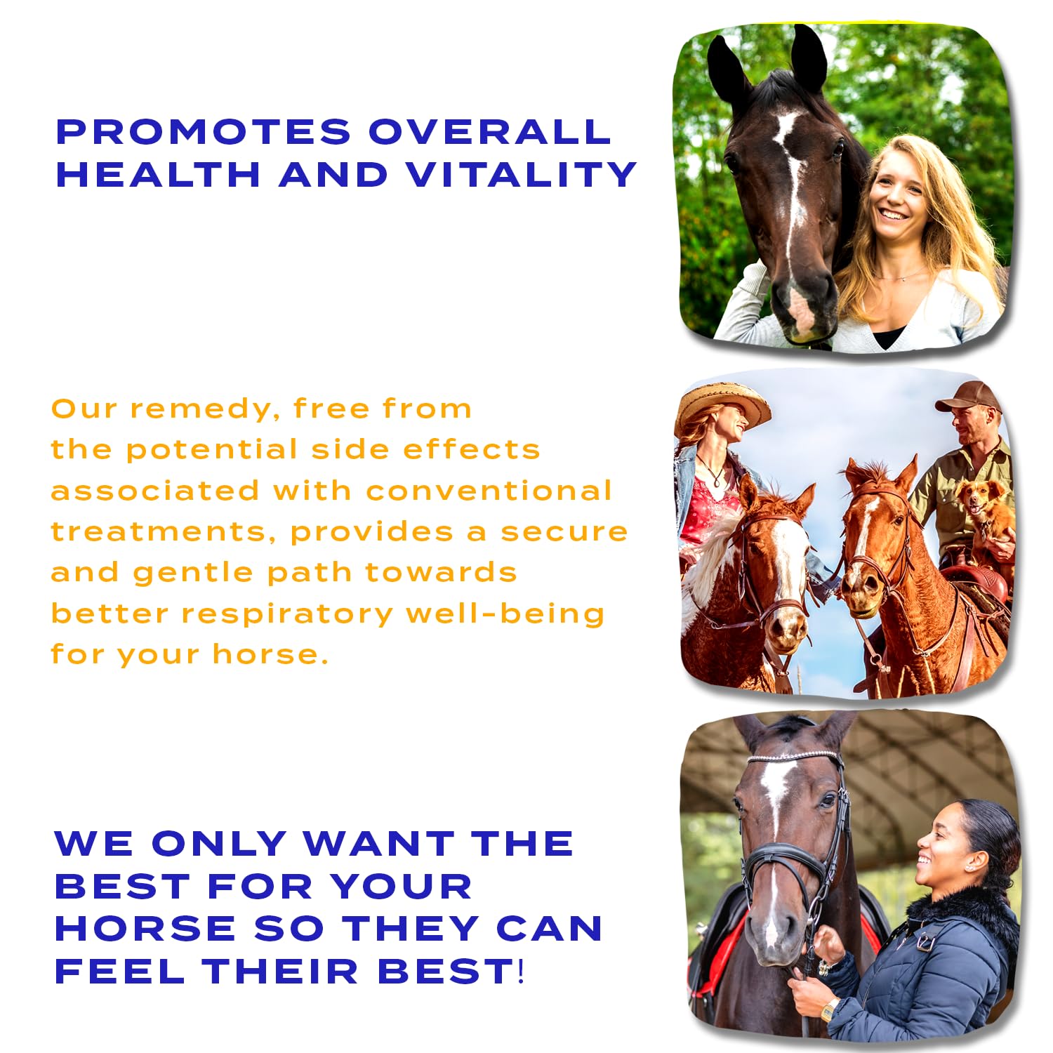 Healthy Animals 4Ever All-Natural Horse Eye Health Support - Maintains Normal Mineral Levels for Horses Eyes - Eye Supplements for Horses - Homeopathic & Highly Effective - 300 Tablets