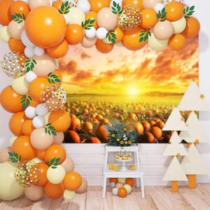 Avezano Fall Pumpkin Patch Backdrop Sunlight Pumpkin Pasture Background Harvest Autumn Thanksgiving Baby Shower Bday Party Portrait Studio Photobooth Props 7x5 ft, 83x59 inch