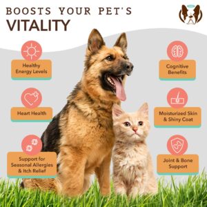 Natural Dog Company Wild Alaskan Salmon Oil & Probiotic Chews for Dogs Bundle: Salmon Oil & Probiotics - Healthy Skin and Coat and Digestive Health Combo for Dogs of All Breeds and Sizes