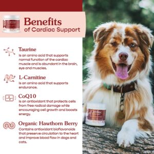 Fera Pets Probiotics and Cardiac Support Supplement Bundle for Dogs and Cats – All Natural Probiotics Powder for 5 Billion CFUs per Scoop – Support Cardiovascular Heart Health (60 Capsules)