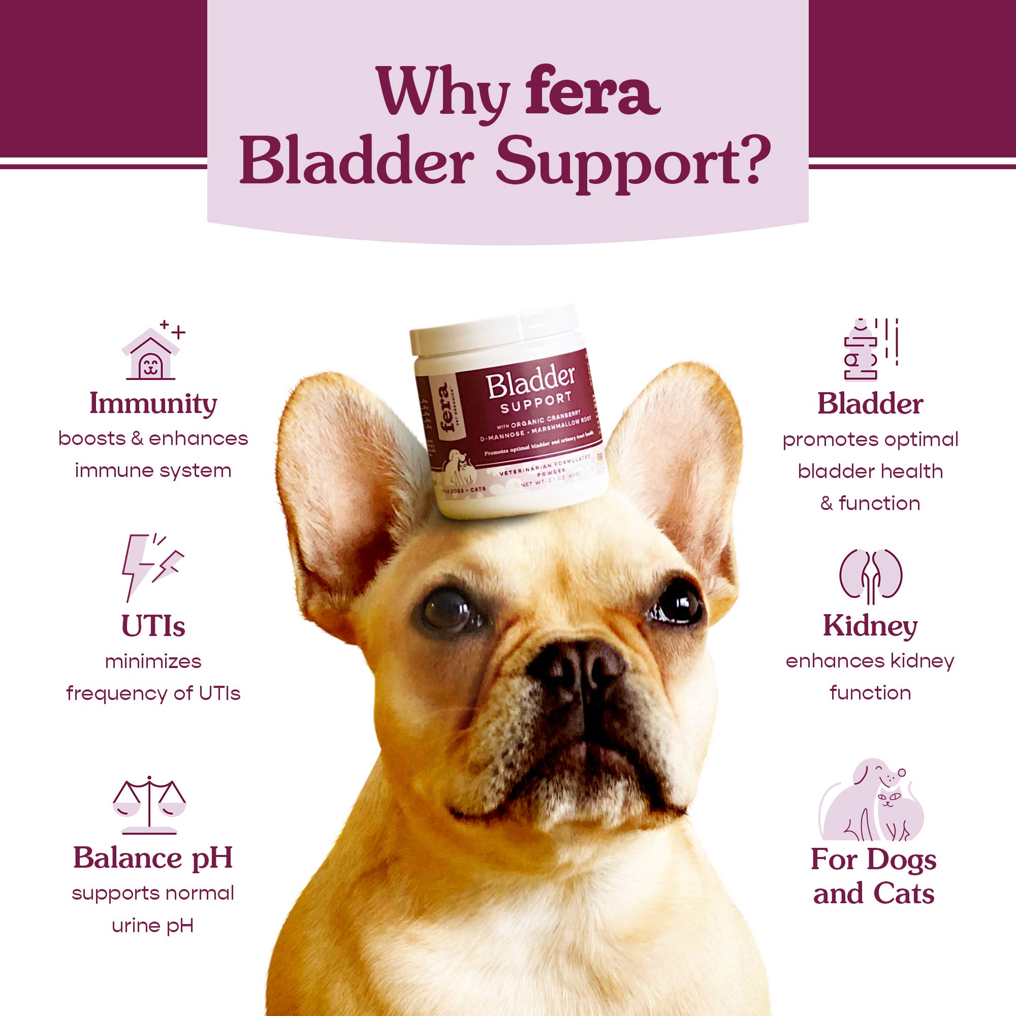 Fera Pets Probiotics and Bladder Support Bundle for Dogs and Cats – All Natural Probiotics Powder with 5 Billions CFUs per Scoop – Kidney and Urinary Tract Health, Immune Antioxidant Supplement