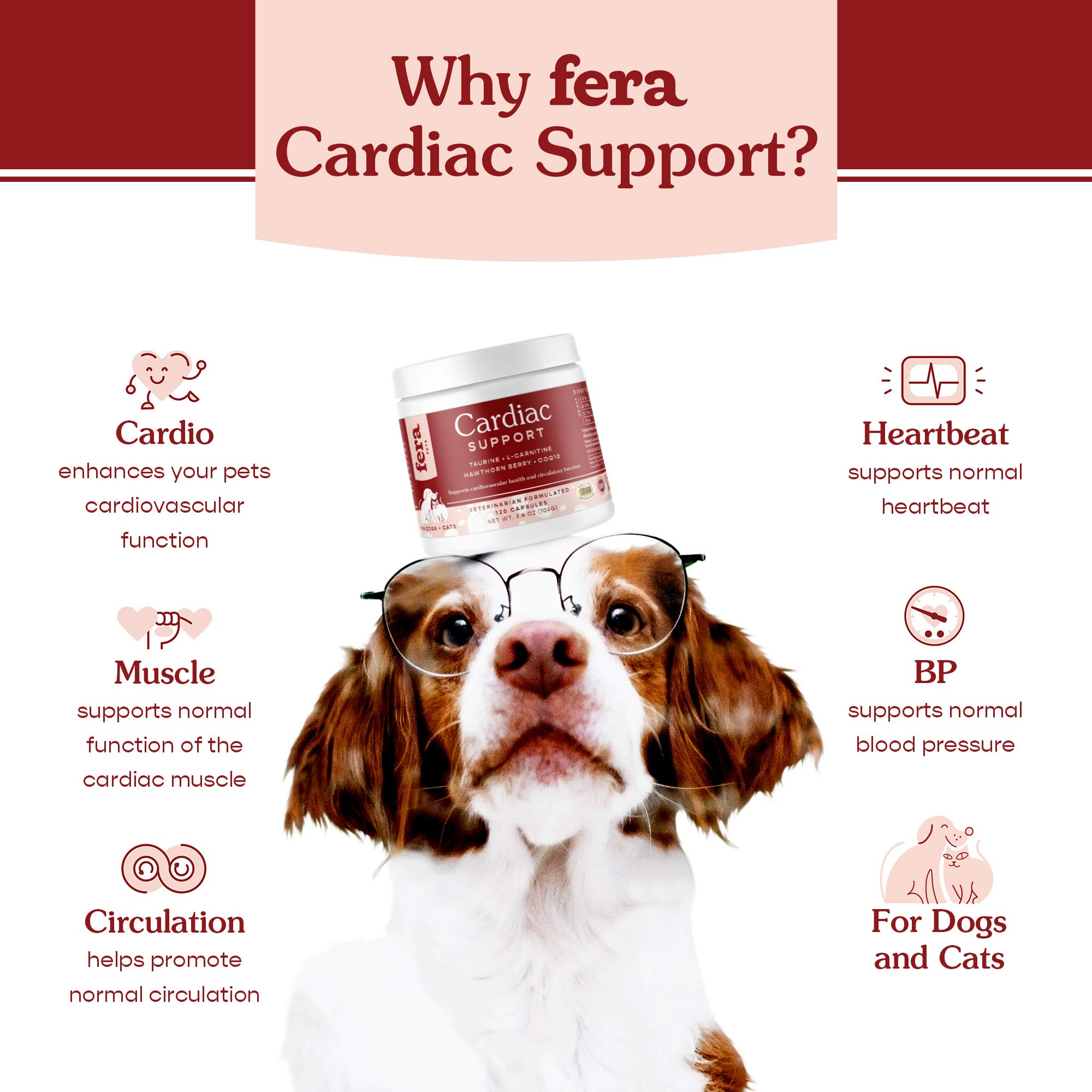 Fera Pets Probiotics and Cardiac Support Supplement Bundle for Dogs and Cats – All Natural Probiotics Powder for 5 Billion CFUs per Scoop – Support Cardiovascular Heart Health (60 Capsules)