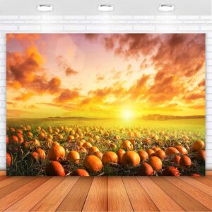 Avezano Fall Pumpkin Patch Backdrop Sunlight Pumpkin Pasture Background Harvest Autumn Thanksgiving Baby Shower Bday Party Portrait Studio Photobooth Props 7x5 ft, 83x59 inch