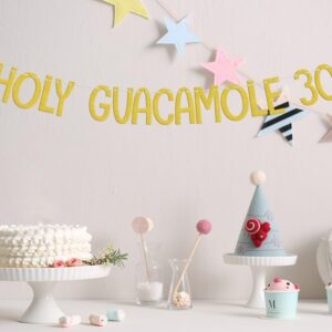 Holy Guacamole 30 Banner, Mexican Fiesta 30th Birthday Decorations, Taco Cactus Thirty Birthday Anniversary Cinco De Mayo Theme Party Supplies Gold Green