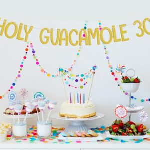 Holy Guacamole 30 Banner, Mexican Fiesta 30th Birthday Decorations, Taco Cactus Thirty Birthday Anniversary Cinco De Mayo Theme Party Supplies Gold Green