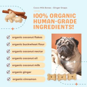 CocoTherapy Ginger Coco-Milk Bones 3 Pack, 6 Ounces Each, USDA Organic