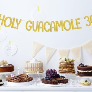 Holy Guacamole 30 Banner, Mexican Fiesta 30th Birthday Decorations, Taco Cactus Thirty Birthday Anniversary Cinco De Mayo Theme Party Supplies Gold Green