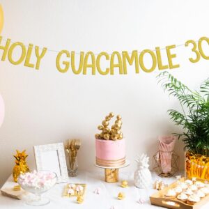 Holy Guacamole 30 Banner, Mexican Fiesta 30th Birthday Decorations, Taco Cactus Thirty Birthday Anniversary Cinco De Mayo Theme Party Supplies Gold Green