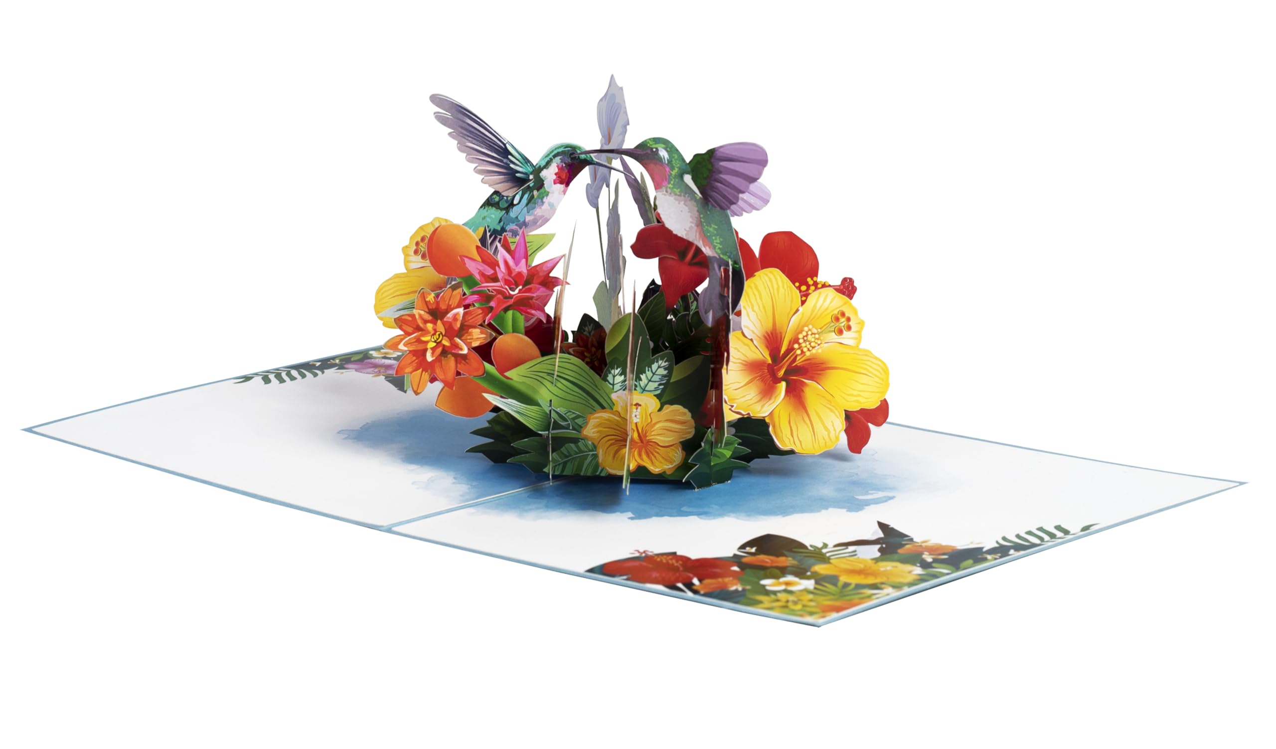 iGifts And Cards Inspirational Hummingbird with Yellow and Red Hibiscus 3D Pop Up Greeting Card - Colorful Flowers, Ideal for Mother's Day, Birthday, Anniversary, Get Well, Thank You, Bird Lovers 6x8