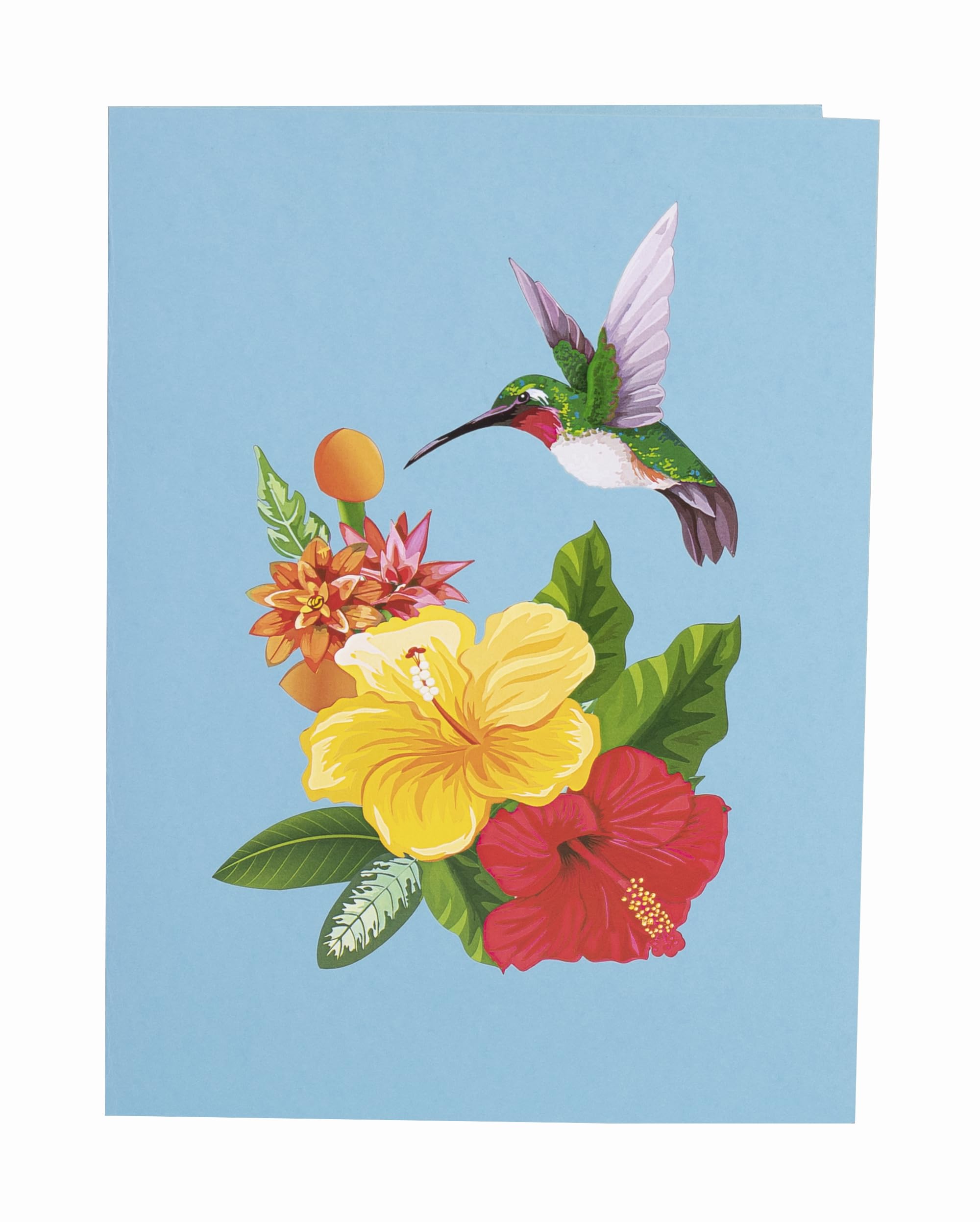 iGifts And Cards Inspirational Hummingbird with Yellow and Red Hibiscus 3D Pop Up Greeting Card - Colorful Flowers, Ideal for Mother's Day, Birthday, Anniversary, Get Well, Thank You, Bird Lovers 6x8