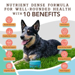 Natural Dog Company Multivitamin and Probiotic Chews Bundle: Complete Nutritional Support for Dogs, Boosts Immune System, Enhances Digestive Health, Ideal for Senior Dogs and with Sensitive Stomachs