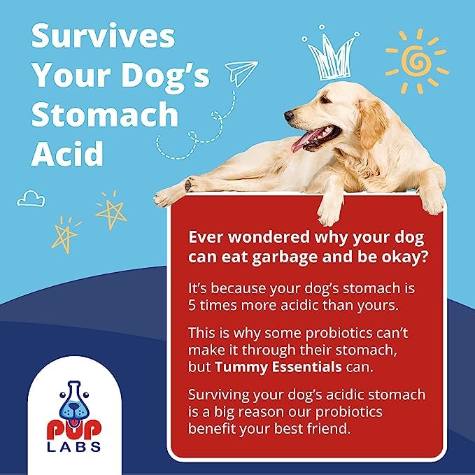 Pup Labs Tummy Essentials Probiotics for Dogs - Eliminate Digestive Dysfunction - Supports Gut Health - Dog Probiotics Support a Happy and Active Life - Made for All Dogs and in The USA, 30 Chews