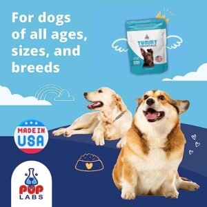 Pup Labs Tummy Essentials Probiotics for Dogs - Eliminate Digestive Dysfunction - Supports Gut Health - Dog Probiotics Support a Happy and Active Life - Made for All Dogs and in The USA, 30 Chews