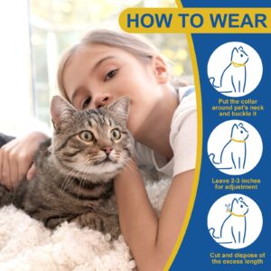 Calming Collar for Cats Pheromone Calm Collar Long-Lasting 30 Days Efficient Relieve Anxiety Stress Help Relaxing Comfortable Cat Calming Collar for Kittens Adjustable Breakaway Design Gray / 2 Pack