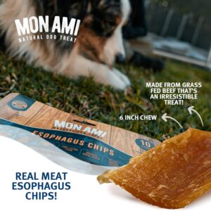 Mon Ami Beef Esophagus Chip Dog Treats (6 Inch, Pack of 20) – Gullet Treats for Dogs Made from Grass Fed Beef with Glucosamine & Chondroitin – Natural Dog Treats, Grain Free & High Protein Dog Chews