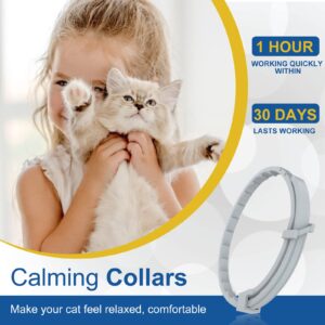 Calming Collar for Cats Pheromone Calm Collar Long-Lasting 30 Days Efficient Relieve Anxiety Stress Help Relaxing Comfortable Cat Calming Collar for Kittens Adjustable Breakaway Design Gray / 2 Pack