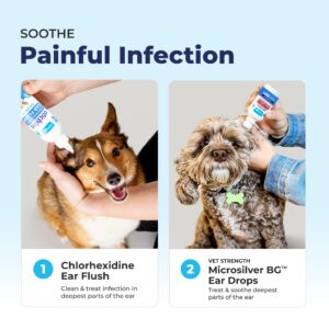 Vetnique Oticbliss Cat & Dog Ear Infection Treatment Drops - with 1% Hydrocortisone & MicroSilver BG for Dog Yeast Ear Infections - Vet Recommended Cat & Dog Ear Cleaner for Itchy Ear Relief