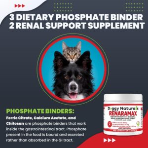 RENARAMAX Dietary Phosphate Binder for Cats & Dogs and Renal Support Supplement Powder for Pets, 120 dose (60.9 g) - (Made in U.S.A)