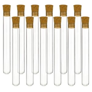 EISCO 12pc 25mL Glass Test Tubes with Cork Stoppers, 18x150mm - Industrial Quality Borosilicate Glass & Premium Natural Cork - For Science Experiments, Plant Cuttings, Seeds, Beads, Spices, Bath Salts