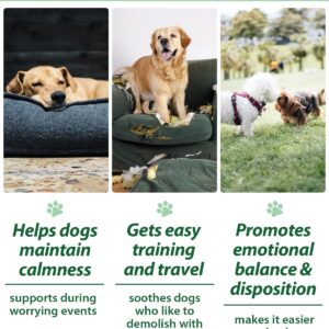 Hemp Calming Chews for Dogs - Dog Calming Treats - Dog Calming Chews - with Valerian Root, Melatonin - Calming Treats for Dogs - Helps with Thunder, Fireworks, Travelling - 120 Chews, Chicken Flavor