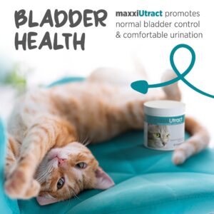 maxxipaws maxxiUtract Urinary & Bladder Support - Powder Supplement for Cats, 3.2oz