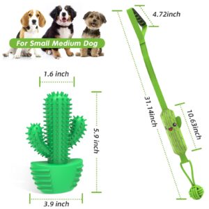 Pamlulu Dog Toys Set,Dog Chew Toy Cactus Tug of War Toy Set Dog Squeaky Toys for Aggressive Chewers Cactus Tough Toys Interactive for Training Cleaning Teeth