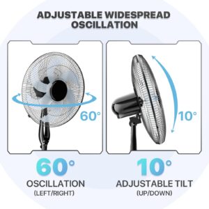 mollie Oscillating Pedestal Fan with Remote Control 12H Timer Portable Adjustable Height 6 Blades Quiet Air Circulator Standing Floor Fan for Bedroom Home Black