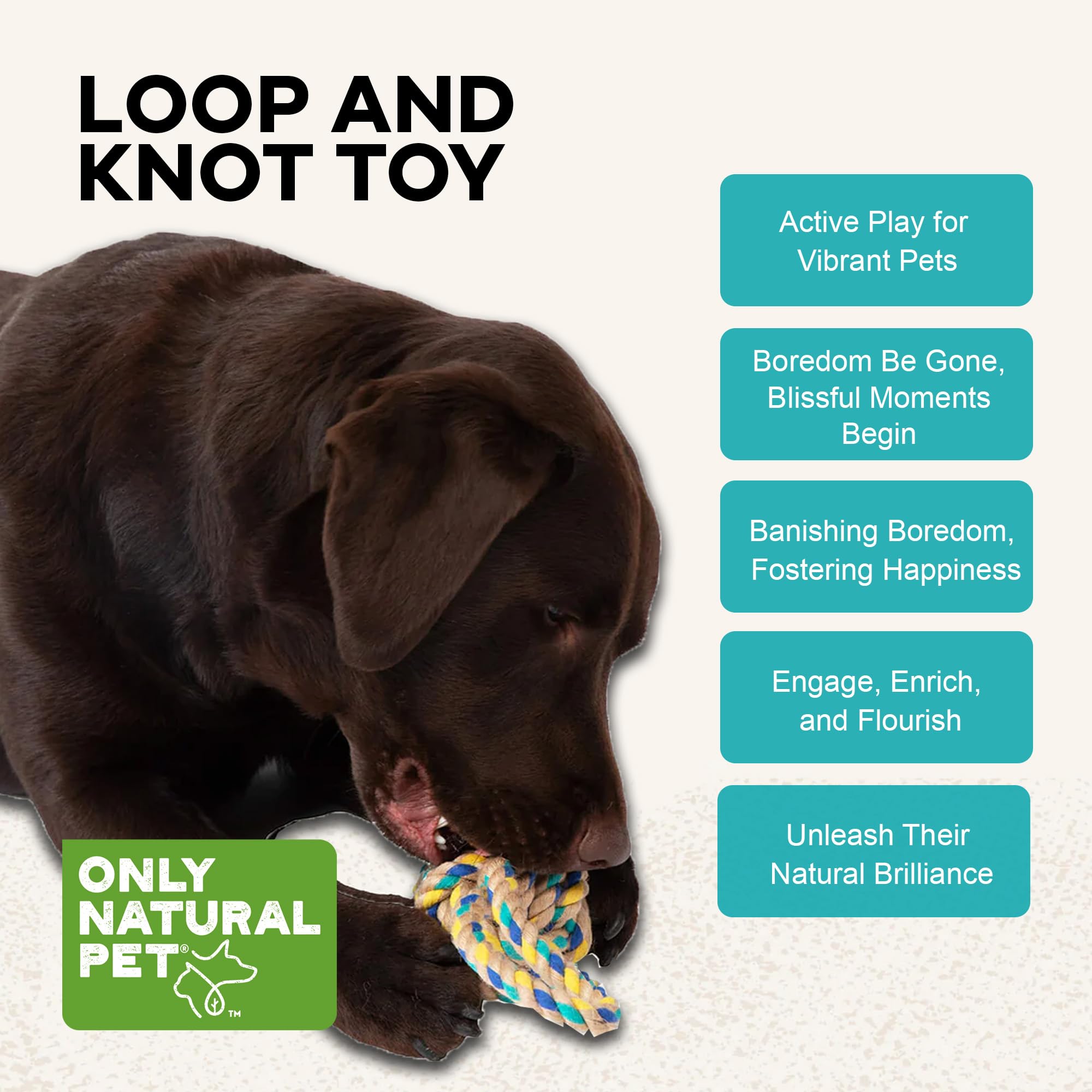 Only Natural Pet Hemp and Recycled Cotton Tug & Fetch Dog Toys - Interactive Tug & Chew Dog Rope Toy with Loop Handle and Knot - Eco-Friendly, Engaging & Durable Hemp Braid | Loop & Knot Toy, 3" x 9"