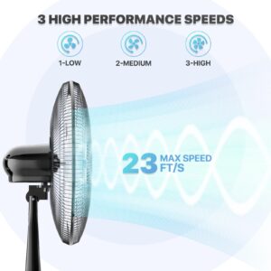 mollie Oscillating Pedestal Fan with Remote Control 12H Timer Portable Adjustable Height 6 Blades Quiet Air Circulator Standing Floor Fan for Bedroom Home Black