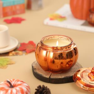 Fall Pumpkin Shaped Candle Fall Pumpkin Spice Candle Farmhouse Thanksgiving Fall Scented Candle 12oz