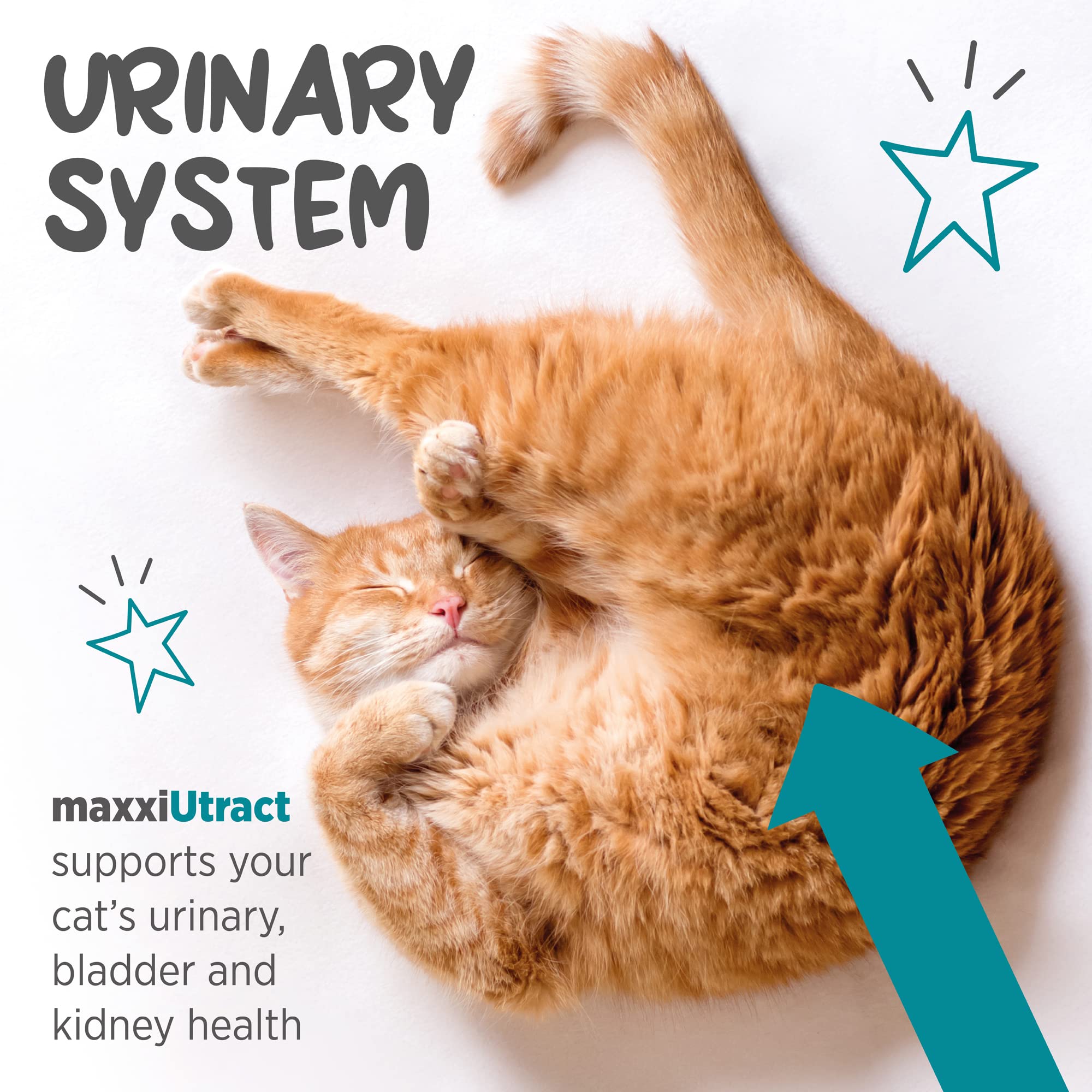 maxxipaws maxxiUtract Urinary & Bladder Support - Powder Supplement for Cats, 3.2oz