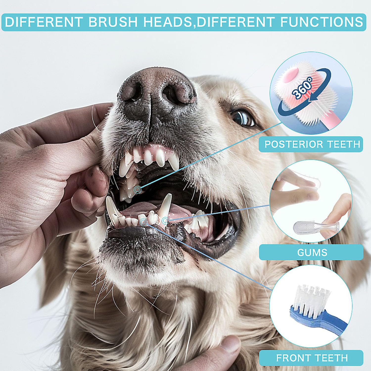 URMYONLY Dog Toothbrush, Finger Toothbrushes, 360 Degree Toothbrush, Triple Head Dog Toothbrushes, Double Head Toothbrush,Cleaning Brushes for Dog Cat Oral Dental Health 9Pack