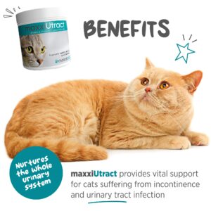 maxxipaws maxxiUtract Urinary & Bladder Support - Powder Supplement for Cats, 3.2oz