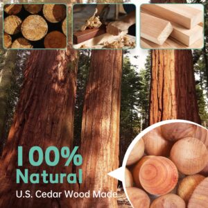 150 Cedar Blocks for Clothes Storage Cedar Variety, Cedar Rings & Cedar Balls 100% Natural Aromatic Cedar Accessories for Closets & Drawers (150 Pack-Rings & Balls)