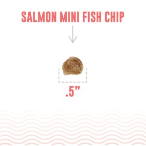 Icelandic+ Mini Fish Chips: Salmon 9oz - Dog Treats, for Training & Small Dogs, 2 Ingredient Air-Dried Crunchy Chips