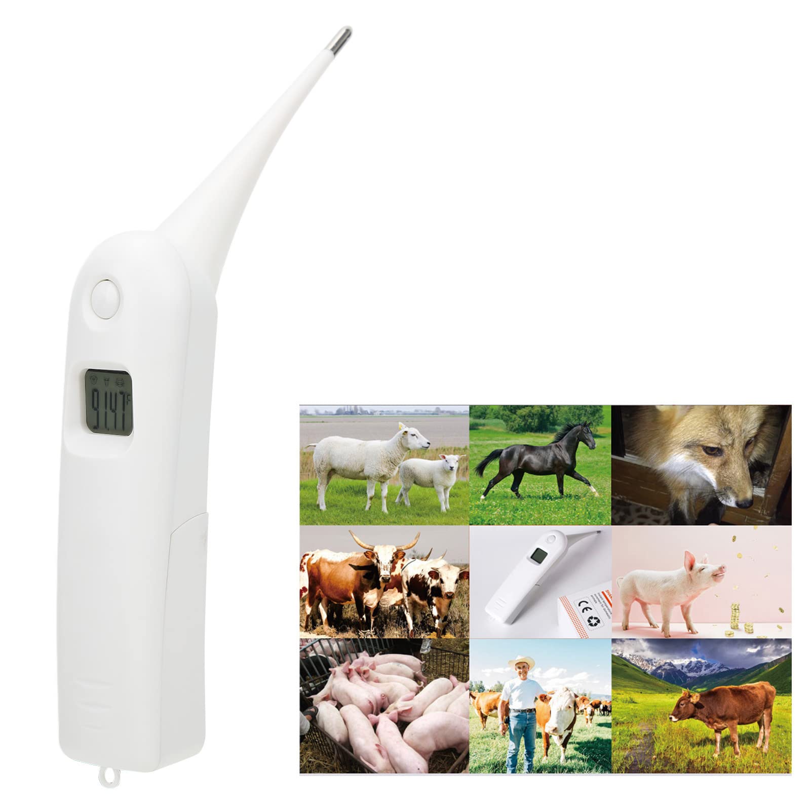 Zerodis Pig Thermometer Electronic LCD Pet Veterinary Thermometer with Memory Function for Dogs Cats Pet Dog Thermometer Horse Anus Thermometer Fast Digital Veterinary Thermometer