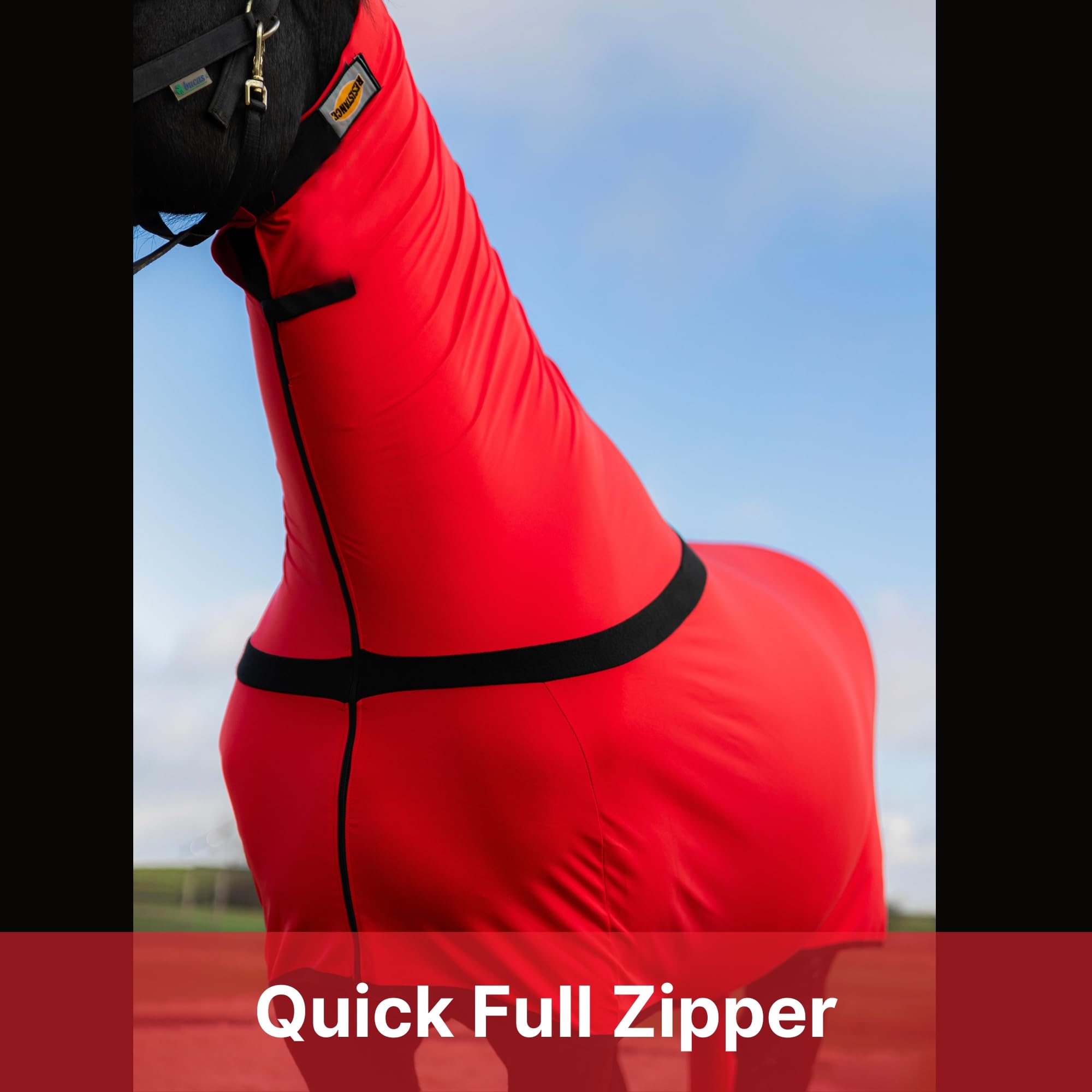 RESISTANCE Premium Horse Sleazy Full Body Slicker with Full Zipper & Faceless Horse Care Sheet