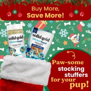 Solid Gold Dog Food Seasoning for Picky Eaters - Nutrientboost Dog Food Topper Shaker Appetite Enhancer for Dogs Pumpkin Flavor - Contains Proteins & Amino Acids to Promote Digestion & Immunity - 2 Ct