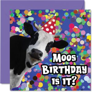 funny birthday cards for women men - moo - happy birthday card for mom dad papa pops brother sister son daughter grandma grandpa friend, 5.7 x 5.7 inch joke silly bday greeting cards