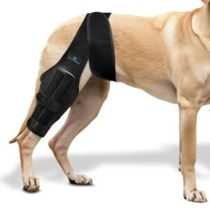 dog leg braces for back leg - dog knee brace for support with cruciate ligament injury, joint pain and muscle sore,- dog knee brace for torn acl hind leg adjustable rear leg braces (large)