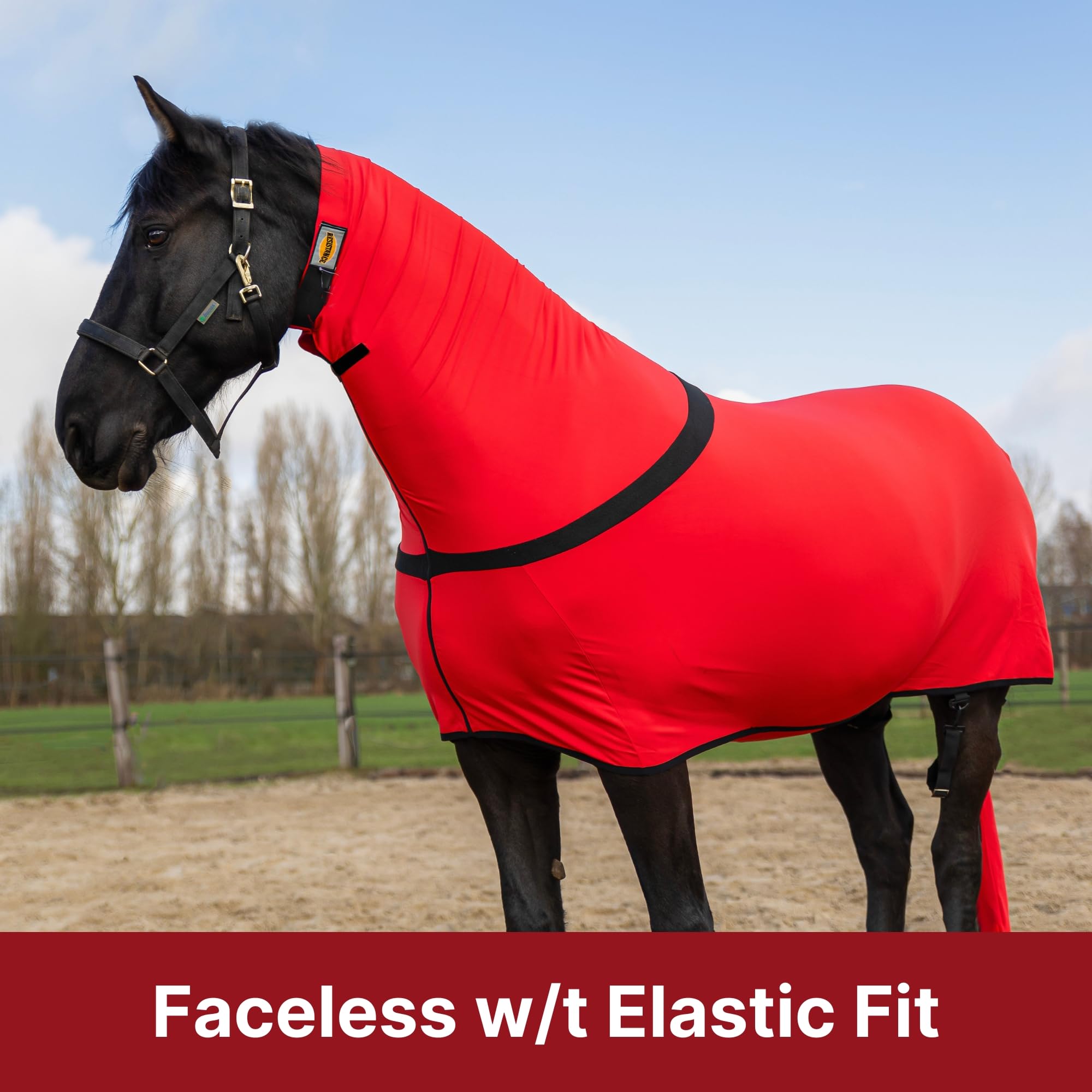 RESISTANCE Premium Horse Sleazy Full Body Slicker with Full Zipper & Faceless Horse Care Sheet