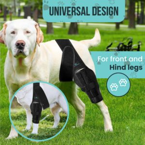 Dog Leg Braces for Back Leg - Dog Knee Brace For Support With Cruciate Ligament Injury, Joint Pain And Muscle Sore,- Dog Knee Brace for Torn ACL Hind Leg Adjustable Rear Leg Braces (Large)