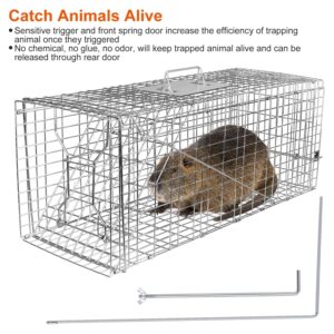 Moclever Live Animal Cage Trap Humane Cat Trap Cage Catch Release Live Animal Rodent Cage Collapsible Galvanized Wire for Rabbits, Stray Cat, Raccoon, Groundhogs, Mole,Gopher,Opossum-30.5X11.81X11 in