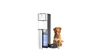 avalon limited edition self cleaning water cooler water dispenser with pet bowl- 2 temperature settings - hot & cold, durable stainless steel construction, bottom loading - ul listed